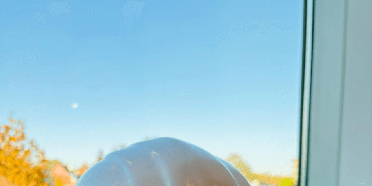 Projectleider HVAC